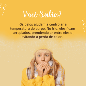 Curiosidades para esteticista