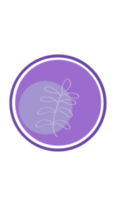 Destaques Profissionais Para Instagram