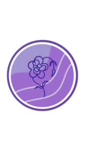 Destaques Profissionais Para Instagram