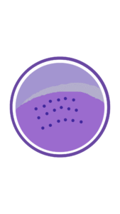 Destaques Profissionais Para Instagram