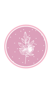 Destaques Profissionais Para Instagram