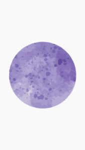 Destaques Profissionais Para Instagram