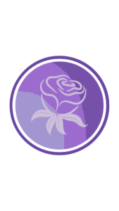 Destaques Profissionais Para Instagram