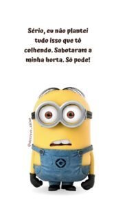 Frases para rir da vida