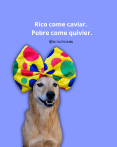 Frases sobre simplicidade e felicidade