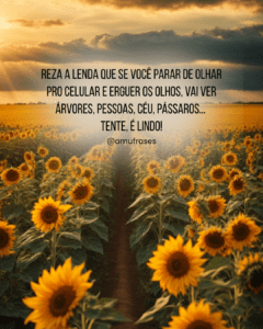 frases sobre a vida atual