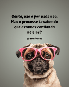 Frases Divertidas para Status do Whatsapp