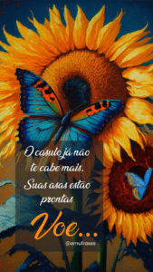 Frases de Transformação