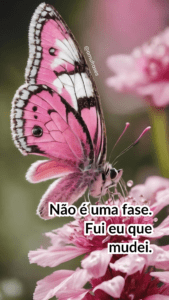 Frases de Transformação