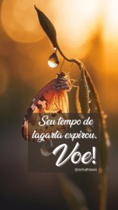 Frases de Transformação