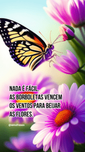 Frases de Transformação