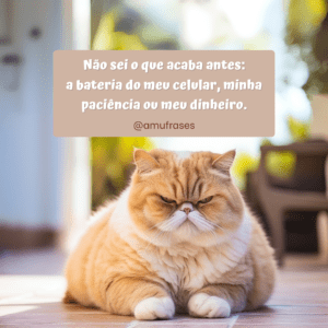 Frases para rir da vida financeira